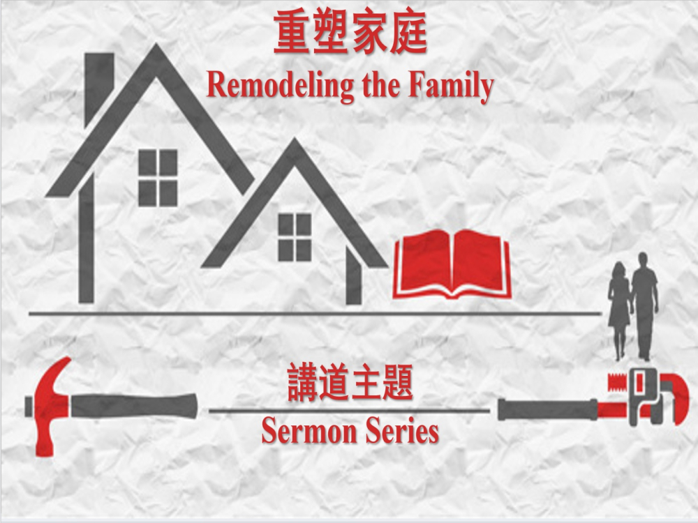 Remodel Family series